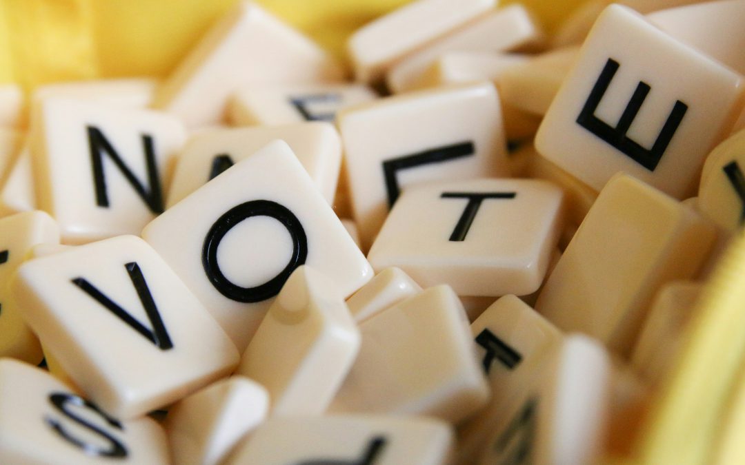 Élections législatives 2024 : l’importance de voter, chapitre n°2
